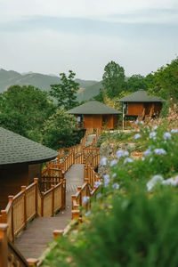 Casa de árbol prefabricada de madera con tobogán Terraza exterior Resort Lodge Hotel Estilo Cabaña de troncos <span class=keywords><strong>Chalet</strong></span> redondo Techo de teja Homestay - Product Image 5