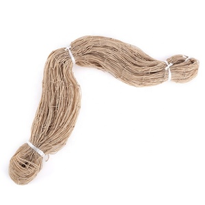 Customized Size Beige Heavy Duty HDPE Bird <strong>Net</strong> Mesh Anti Bird <strong>Net</strong> for Rice Field - Product Image 4