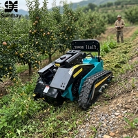 Tondeuse à gazon RC intelligente avec deux roues motrices, largeur de coupe de 500 mm, pour la coupe de l'herbe sur les pentes