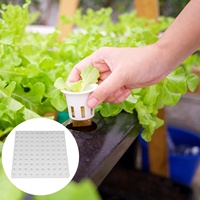 Éponge hydroponique sans terre écologique 25x25x2.5cm Outils de jardinage Système de culture de semis et de légumes en serre
