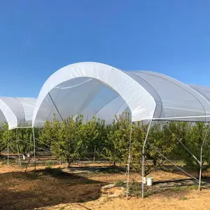 Baolida Landwirtschaft wachsen Zelt Regenschutz Gewächshaus Rahmen Beeren Gewächshaus für Tomaten