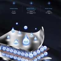 Bouteille d'eau hydrogénée à électrolyse rapide 4000ppb SPE PEM 208ml Batterie longue durée Rechargeable par USB