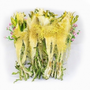 Poudre de fleurs de fruit du dragon séché de haute qualité, traitement brut, thé minceur à prix abordable - Product Image 2