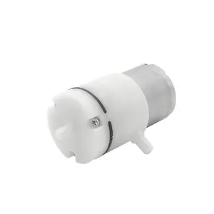 12v Air Inflate Deflate Dc Mini Vacuum Self吸式Water Micro Metering Pump For Medical
