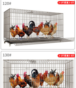 Jaula para pollos <span class=keywords><strong>de</strong></span> engorde para granja <span class=keywords><strong>de</strong></span> aves <span class=keywords><strong>de</strong></span> corral plegable para poner <span class=keywords><strong>huevos</strong></span> en el hogar a la <span class=keywords><strong>venta</strong></span> - Product Image 6