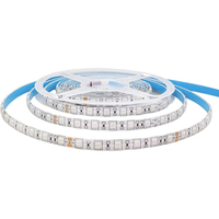 Bande LED intelligente USB IP65 SMD5050 RGB en cuivre 1m, thème jungle, effet phosphorescent, contrôle tactile à distance, films transparents ultra-fins