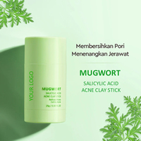 Stick de masque d'argile anti-acné à l'acide salicylique et à l'armoise, marque privée, purifie les pores, apaise les éruptions cutanées actives