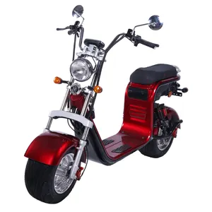 EEC Super Battery life citycoco moped Front and Rear double shock absorption electric citycoco motorcycle