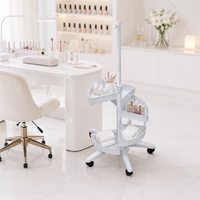 Support de lampe loupe de salon de beauté moderne compatible SMY Source de lumière LED avec corps en fer et en plastique avec conception de plateau