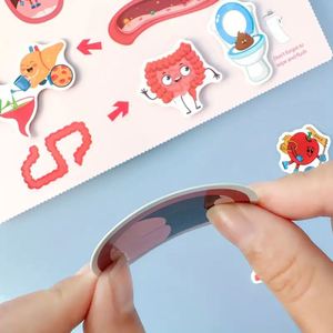 Livre d'activités Montessori pour les tout-petits, les enfants d'âge préscolaire, matériel éducatif pour la petite enfance, apprentissage de l'anatomie du corps humain - Product Image 6