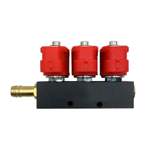 3cylinder ngv cng common Lpg injector rail car fuel system