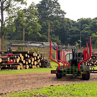 Attrezzature Forestali Woody: Rimorchi 4WD per Trasporto Legname, Gru con Pinza, Caricatori, Joystick, Motore Inclinabile, Cuscinetti, Cambio, Telecomando