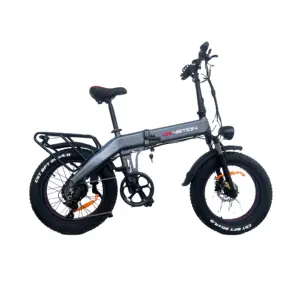EU warehouse electric bike adult electric tricycle from china down tube for 2 people tire for beach free shipping electric bike