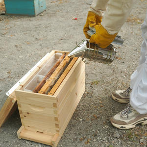 Fumeur d'abeille en acier inoxydable fumeur de ruche d'abeille bouclier thermique outils d'apiculture fumeur de ruche pour apiculteur - Product Image 5