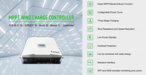 Controlador de Carga Eólica MPPT de 5KW, Personalizado para Sistemas Eólicos - Product Image 6