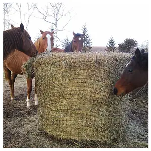 Goede Kwaliteit Top Selling Ronde Baal Slow Feeder Paard Hooi Netto