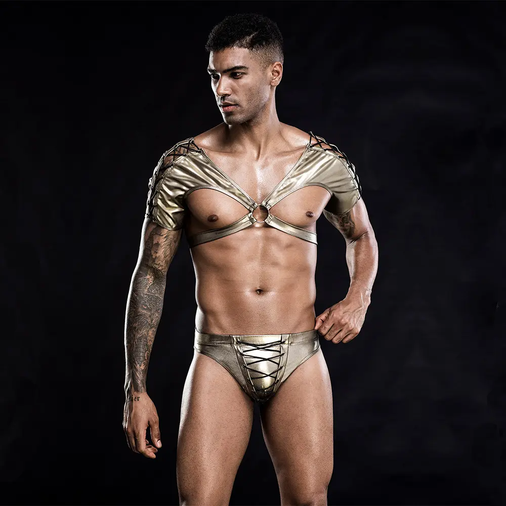 Gay – Lingerie exotique pour homme, harnais en Nylon, Costumes érotiques Sexy, sous-vêtements tissés à taille basse