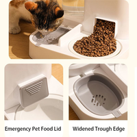 Bouteille et bols d'eau à alimentation lente en acier inoxydable durable pour animaux de compagnie de plus grande capacité faciles à nettoyer pour chiens et chats