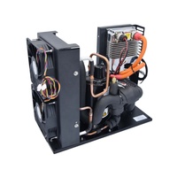 Livraison à domicile 48v 72v 96v 312v  Dc 2000W  Mini refroidisseur d'eau pour la gestion thermique Refroidisseur de batterie de véhicule électrique
