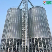 Système d'aération pour silo à riz de 500 à 5000 tonnes, conteneur en acier galvanisé durable, montage facile, garantie 1 an pour l'usine de parboilage des coques de riz