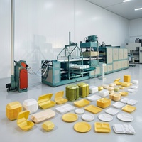 Machine de thermoformage pour contenants alimentaires en mousse PS, fabriquée en Chine, machine pour boîtes à emporter