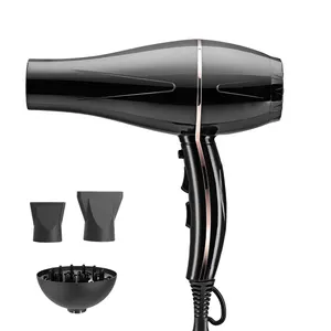 2200W professional hair dryer cool hot wind ionic hair dryer portable wall mounted high speed hairdryer salon blow dryer