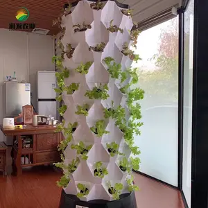 Ananas Aeroponic Tower Smart Hydro ponic Anbaus ystem für den Hausgarten Hydro ponic Farming Vertical Garden