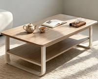 Table basse de rangement, table d'appoint moderne de style mi-siècle, pliable, simple et compacte, mobilier de maison pour petites maisons et locations
