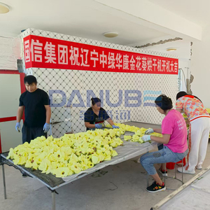 Horno de Secado con Bomba de Calor Golden Sunflower de Tecnología Avanzada, Equipo de Secado Golden Sunflower - Product Image 5