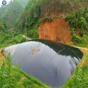 フィリピンのバイオガスジスター用<span class=keywords><strong>1.5mm</strong></span> <span class=keywords><strong>HDPE</strong></span>ライナーバイオガスジスターメンブレンカバー - Product Image 4