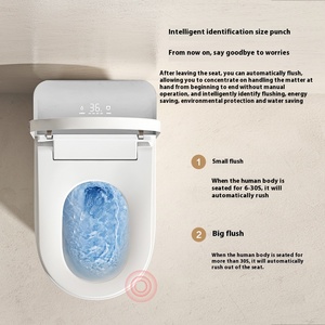 Một Mảnh Thông Minh Nhà Vệ Sinh Điều Khiển Từ Xa Auto-Mở Đóng Nắp Auto-Xả Tùy Chỉnh Nhà Máy Kéo Dài Bát Hình Dạng Lấy Cảm hứng Từ Trung Quốc - Product Image 1