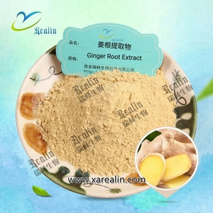 مسحوق أصفر زينغبيريس زينجيبر رهيزوما خلاصة جذور الزنجبيل الطبيعي - Product Image 3