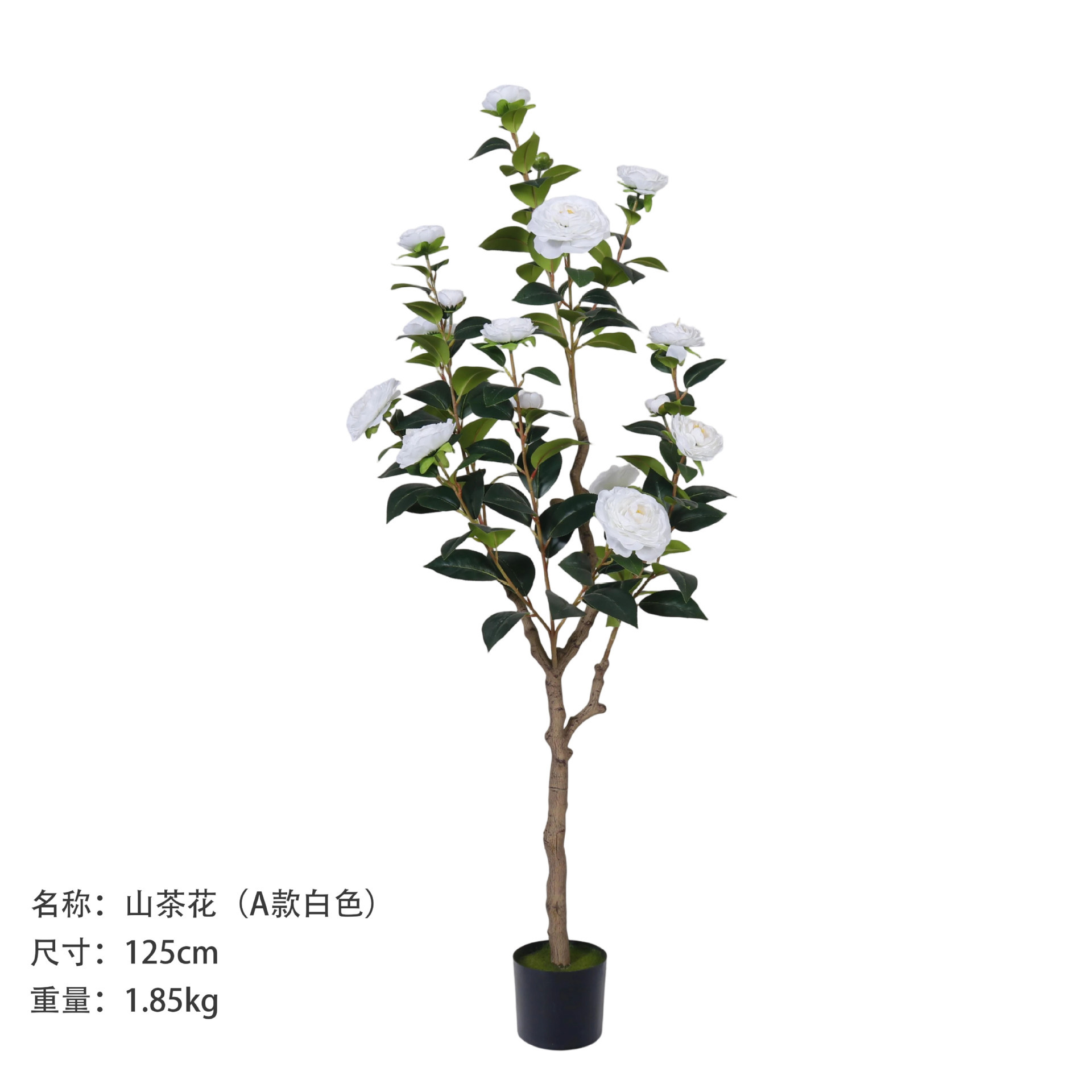 Camélia 125 cm (style A, blanc)