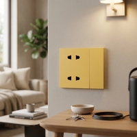 Interrupteur simple et prise double intégrés pour usage domestique, vente en gros, interrupteurs électriques muraux personnalisés