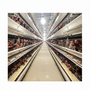 Jaulas de pollos de capa de agua de alimentación automática para jaula H de granja de gallina - Product Image 1