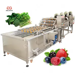 Commercial Bubble Wash Cleaning Machine Fruit Wash Washing Machine Vegetable Washer Vegetable