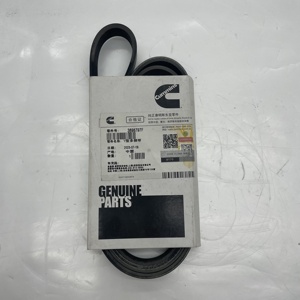 3696797 V-ribbenriem voor <span class=keywords><strong>Cummins</strong></span> ISG F motoronderdelen, hete aanbieding - Product Image 1