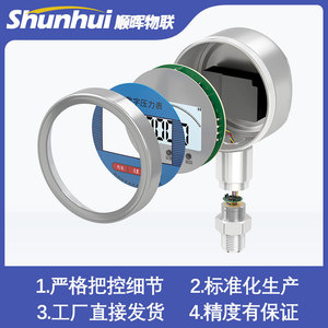 Digital Pressure <b>Gauge</b> YK-100 100mm 0.4 Accuracy Level For Water Pneumatic Hydraulic Use - Product Image 5