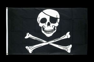 China Factory Wholesale 3x5 ft Cheap <b>Flag</b> Full Color Printed 150D Polyester Digital Printing Custom Pirate <b>Flags</b>, Banners - Product Image 5