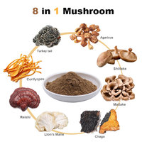 Cordyceps-extract polysachariden / Cordycepin / Beta-glucan