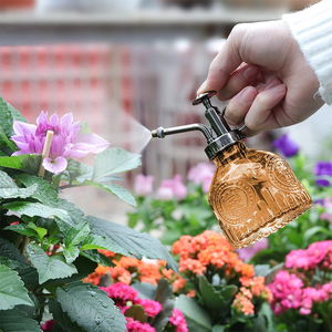 Glass <strong>Plant</strong> <strong>Mister</strong> 200ML Vintage Spray Bottle with Top Pump Fine Mist Garden Flower Sprayer Small Decorative Watering Can - Product Image 4