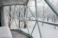 Dôme géodésique mixte de 6 m recouvert de PVC et de verre trempé, maison de glamping, dôme de neige pour hôtel