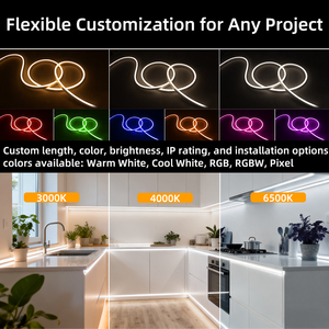 Oem ODM linh hoạt Neon <span class=keywords><strong>LED</strong></span> Strip 0410 0612 0814 1018 mét Silicone Neon dây 12V 24V mềm Glow không thấm nước IP67 - Product Image 3