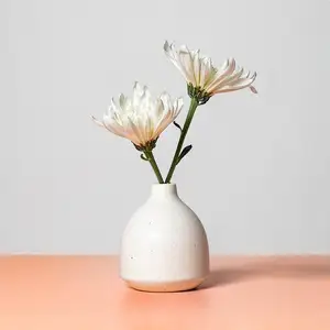 Uobobo白色现代手工陶瓷干花花瓶陶瓷干花