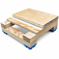 Parquet en bois dur de bouleau naturel, résistant à l'usure, pour salle de sport, studio de danse, arène, volley-ball, badminton, intérieur