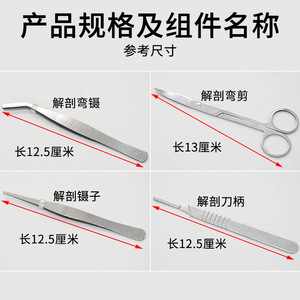 A seven-piece biological dissection set, including scalpels, dissecting scissors, dissecting <b>needles</b>, and biological specimen - Product Image 5