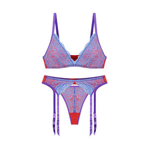 高品質セクシーデザインカスタム刺繍下着プラスサイズランジェリー工場レースブラ女性用ブラセット - Product Image 6