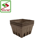 Plateau de panier de baies biodégradable petites boîtes d'emballage de pulpe moulée pour les fruits et légumes plateau de pâte à papier écologique panier de fruits