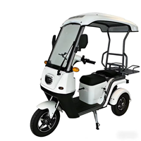 Tricycle électrique double moteur PMSM avec toit, scooter de mobilité à 3 roues, suspension en aluminium, frein à disque, trike de loisirs pour usage commercial