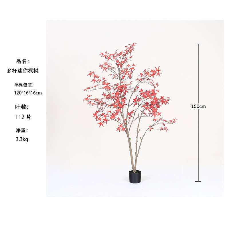 [Vente chaude] Mini-arbre d'érable rouge à plusieurs troncs 150 cm